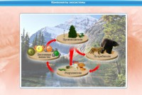 Интерактивные курсы. Биология 7 класс. Базовый. - fgospostavki.ru - Киров