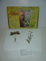 Гербарий "Лекарственные растения" (20 видов) - fgospostavki.ru - Киров