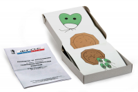 Модель-аппликация "Размножение одноклеточной водоросли" (набор из 11 карт) - fgospostavki.ru - Киров