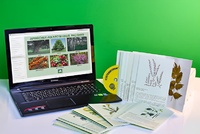 Гербарий натурально-интерактивный "Лекарственные растения" - fgospostavki.ru - Киров