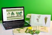 Гербарий натурально-интерактивный "Растительные сообщества. Лес" - fgospostavki.ru - Киров