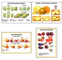 Плакаты ПРОФТЕХ "Ассортимент овощных культур" (12 пл, винил, 70х100) - fgospostavki.ru - Киров