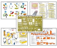 Плакаты ПРОФТЕХ "Сырье и материалы хлебопекарного производства" (20 пл, винил, 70х100) - fgospostavki.ru - Киров