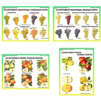 Плакаты ПРОФТЕХ "Ассортимент плодово-ягодных культур" (19 пл, винил, 70х100) - fgospostavki.ru - Киров