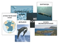 Модель-аппликация "Океаны. Знакомство" (ламинированная) - fgospostavki.ru - Киров