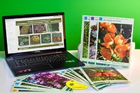 Гербарий натурально-интерактивный "Основные группы растений. Грибы. Лишайники" - fgospostavki.ru - Киров