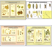 Плакаты ПРОФТЕХ "Вредители и болезни с/х культур и меры борьбы с ними" (11 пл, винил, 70х100) - fgospostavki.ru - Киров
