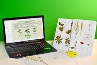 Гербарий натурально-интерактивный "Морфология растений" - fgospostavki.ru - Киров