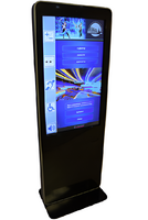 Информационный терминал Istok 42P с сенсорным экраном 42'' (вариант 3) - fgospostavki.ru - Киров