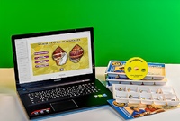 Коллекция натурально-интерактивная "Раковины моллюсков" - fgospostavki.ru - Киров