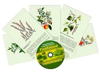 Интерактивный наглядный комплекс "Гербарий "Для начальной школы" - fgospostavki.ru - Киров