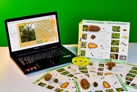 Коллекция натурально-интерактивная "Шишки, плоды, семена деревьев и кустарников" - fgospostavki.ru - Киров