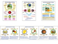 Плакаты ПРОФТЕХ "Плоды" (6 пл, винил, 70х100) - fgospostavki.ru - Киров