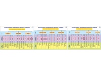 Плакаты ПРОФТЕХ "Ассортимент продовольственных товаров" (3 пл, винил, 70х100) - fgospostavki.ru - Киров