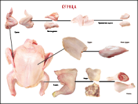 Таблица "Правила разделки мясных туш. Курица" (100х140 сантиметров, винил) - fgospostavki.ru - Киров