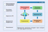 Интерактивные курсы. Информатика 10 класс . Базовый. - fgospostavki.ru - Киров