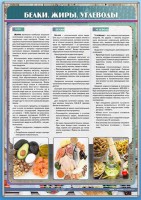 Стенд "Белки. Жиры. Углеводы" - fgospostavki.ru - Киров