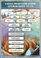 Стенд "Схема приготовления дрожжевого теста" - fgospostavki.ru - Киров