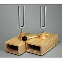 Камертоны на резонансных ящиках с молоточком - fgospostavki.ru - Киров