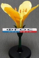 Модель "Цветок капусты" - fgospostavki.ru - Киров