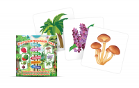 Набор карточек "Ботанический сад" - fgospostavki.ru - Киров