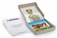 Модель-аппликация "Цикл развития бычьего цепня" (набор из 7 карт) - fgospostavki.ru - Киров