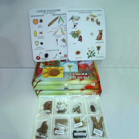 Коллекция "Семена и плоды с раздаточным материалом" - fgospostavki.ru - Киров