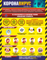 Плакат "Коронавирус" (вариант 1) - fgospostavki.ru - Киров