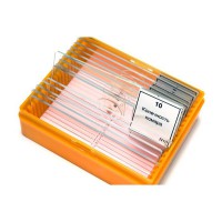 Набор готовых микропрепаратов (зоология) - fgospostavki.ru - Киров