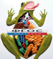 Модель барельефная "Внутреннее строение лягушки" - fgospostavki.ru - Киров