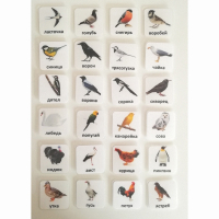 Набор карточек "ПТИЦЫ" - fgospostavki.ru - Киров
