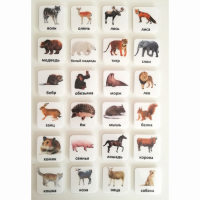 Набор карточек "ЖИВОТНЫЕ" - fgospostavki.ru - Киров