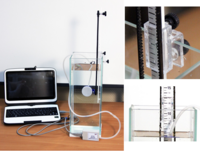 Набор демонстрационный «Гидростатика и плавание тел» - fgospostavki.ru - Киров