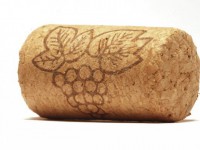 Роторасширитель Пробка - fgospostavki.ru - Киров