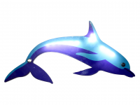 Прибор интерактивный световой «Дельфин» - fgospostavki.ru - Киров