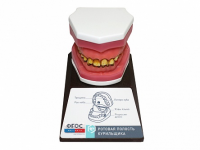 Демонстрационная модель "Ротовая полость курильщика" - fgospostavki.ru - Киров