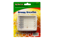 Набор микропрепаратов для микроскопа №2 «Насекомые» - fgospostavki.ru - Киров