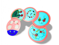 Тактильно-развивающая панель «Гусеница» - fgospostavki.ru - Киров