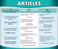 Стенд "Артикли" - fgospostavki.ru - Киров