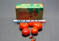 Набор муляжей "Дикая форма и культурные сорта томатов" - fgospostavki.ru - Киров