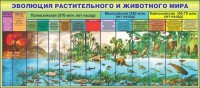 Стенд "Эволюция растительного и животного мира" - fgospostavki.ru - Киров
