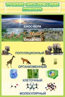 Стенд "Уровни организации живого" - fgospostavki.ru - Киров