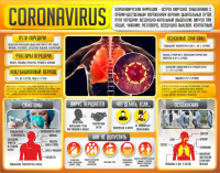 Плакат "Коронавирус" (вариант 2) - fgospostavki.ru - Киров