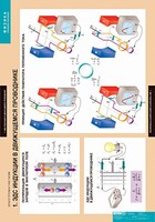 Комплект таблиц. Физика. Электромагнетизм. - fgospostavki.ru - Киров