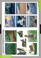 Комплект таблиц. Окружающий мир. Летние и осенние изменения в природе. - fgospostavki.ru - Киров