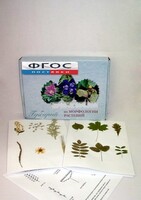 Гербарий "Морфология растений" (5 тем х 3 листа) - fgospostavki.ru - Киров