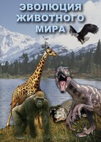 DVD "Эволюция животного мира" - fgospostavki.ru - Киров
