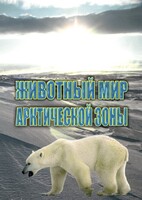 DVD "Животный мир Арктической зоны" - fgospostavki.ru - Киров