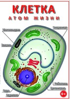 DVD "Клетка - "атом жизни" - fgospostavki.ru - Киров