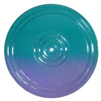 Диск здоровья (многоцветный) - fgospostavki.ru - Киров